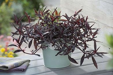 不跳票！《狙击精英5》已经开发完成