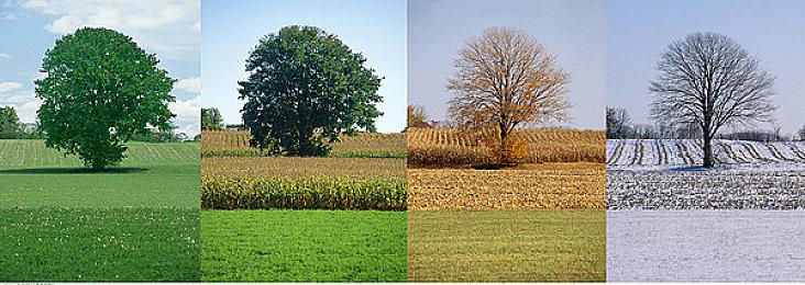 《神力科莎：竞速》官方正式公布次世代主机发售日期